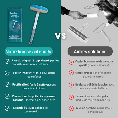Brushy™- La Brosse Multifonctions Anti-poil est numéro 1 en 2025 !